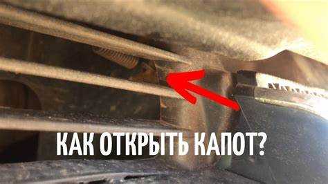 Типичные