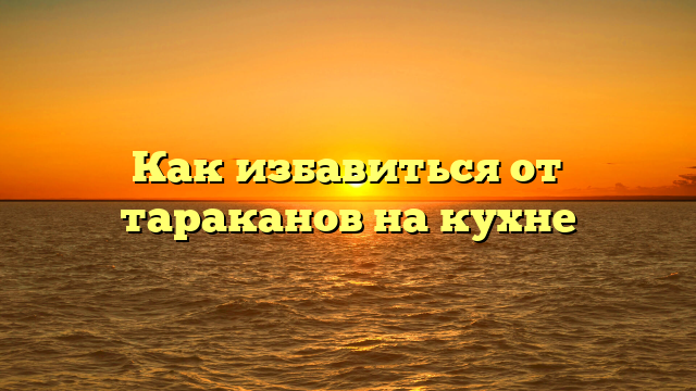 Как избавиться от тараканов на кухне