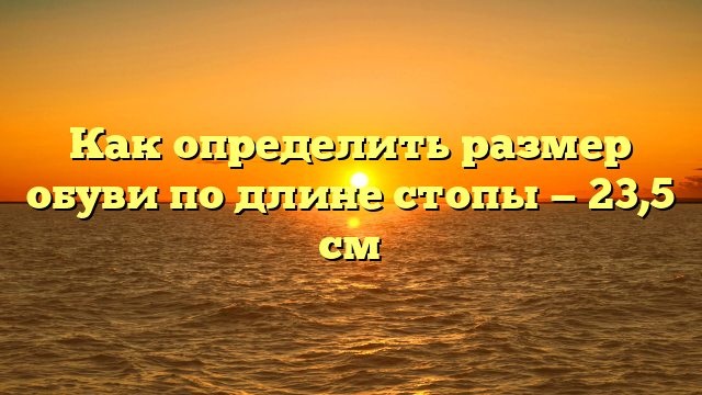 Как определить размер обуви по длине стопы — 23,5 см